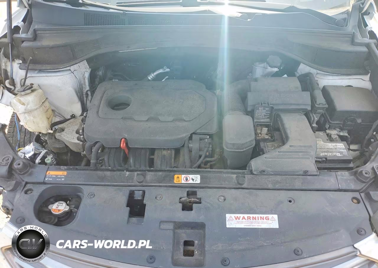2017 Hyundai Santa Fe VIN:5XYZUDLB1HG387437 - 11