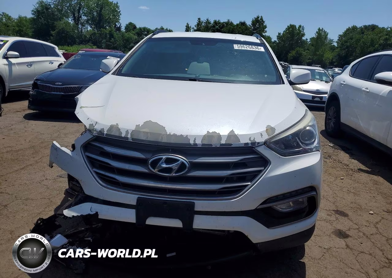 2017 Hyundai Santa Fe VIN:5XYZUDLB1HG387437 - 5