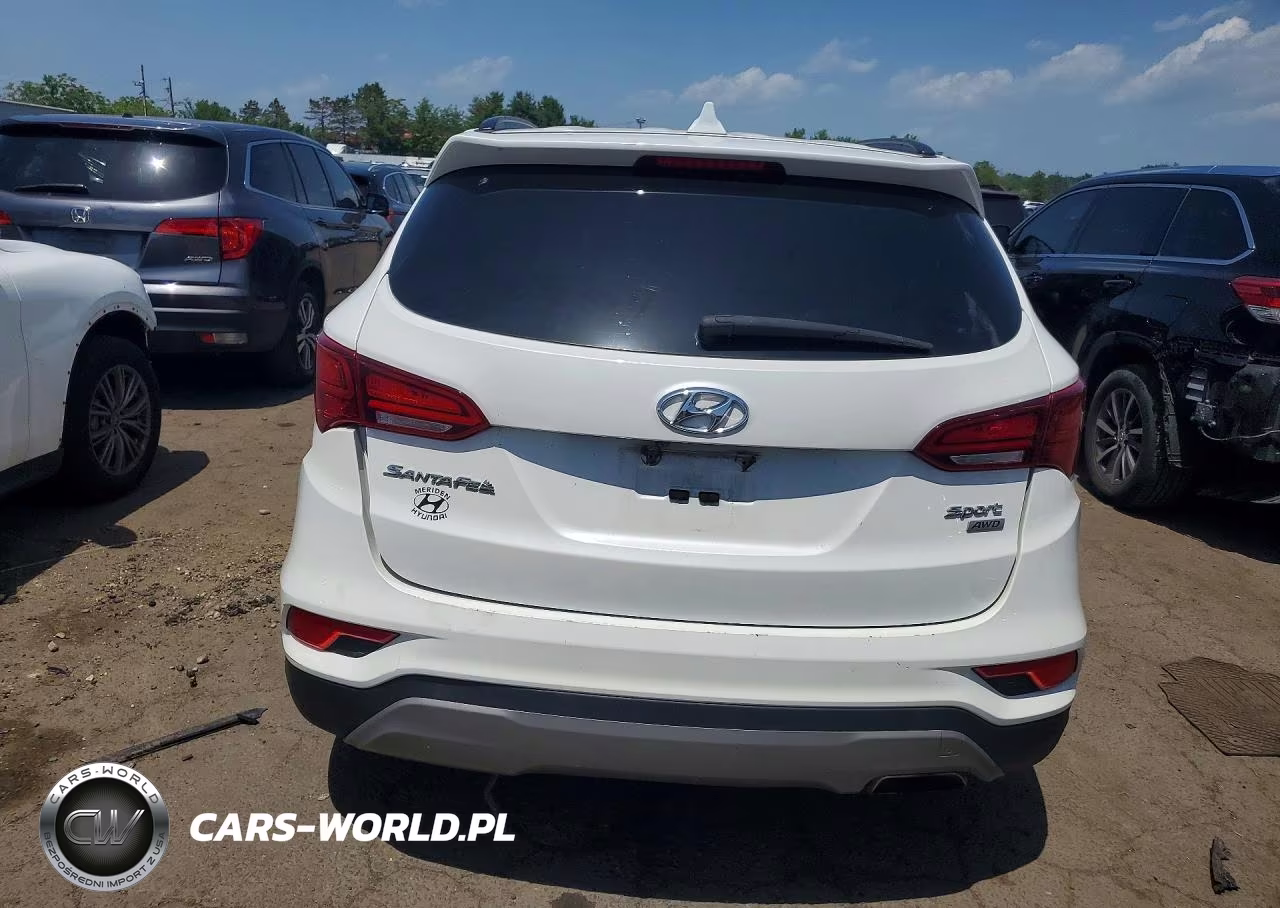 2017 Hyundai Santa Fe VIN:5XYZUDLB1HG387437 - 6