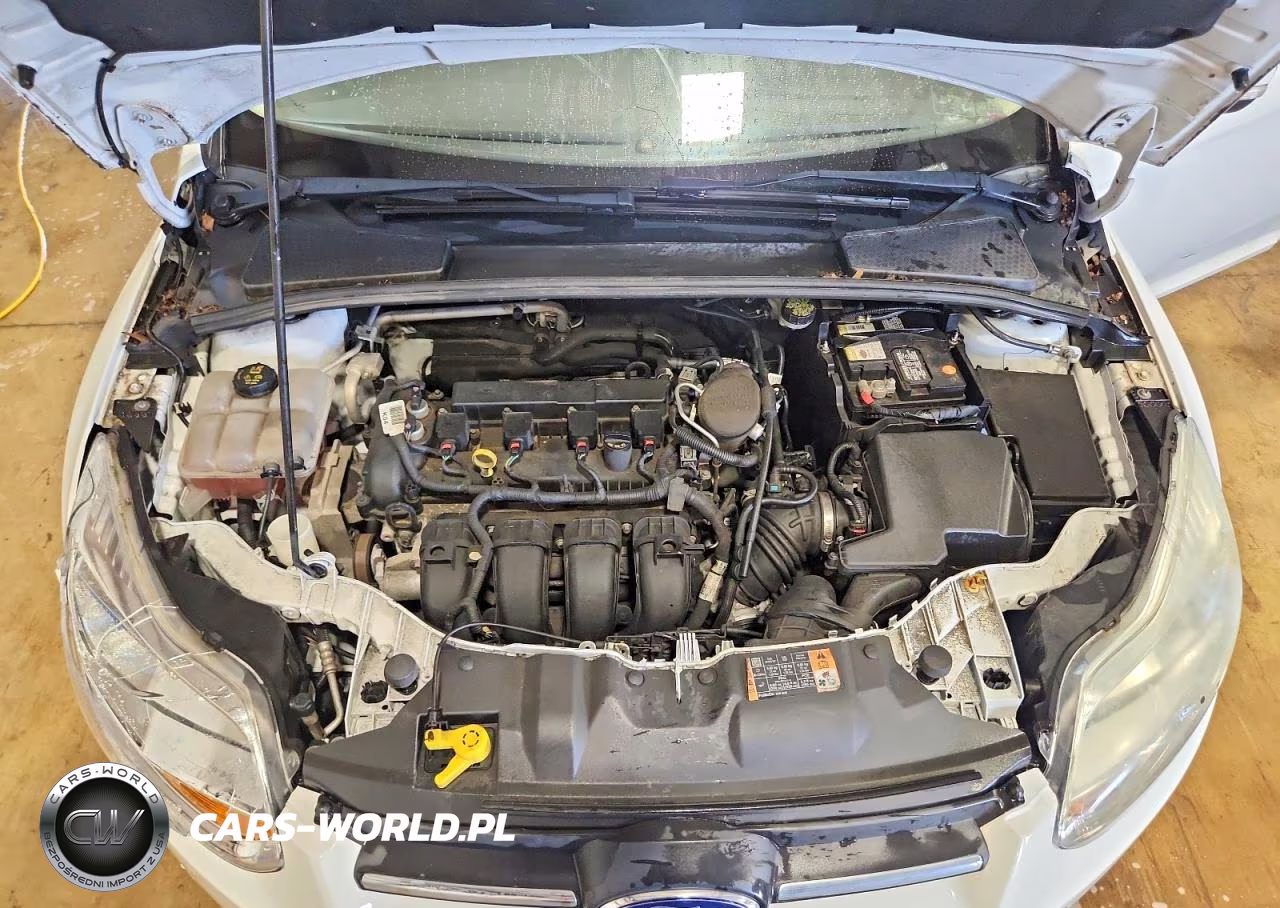 2014 Ford Focus Se VIN:1FADP3F21EL461744 - 11