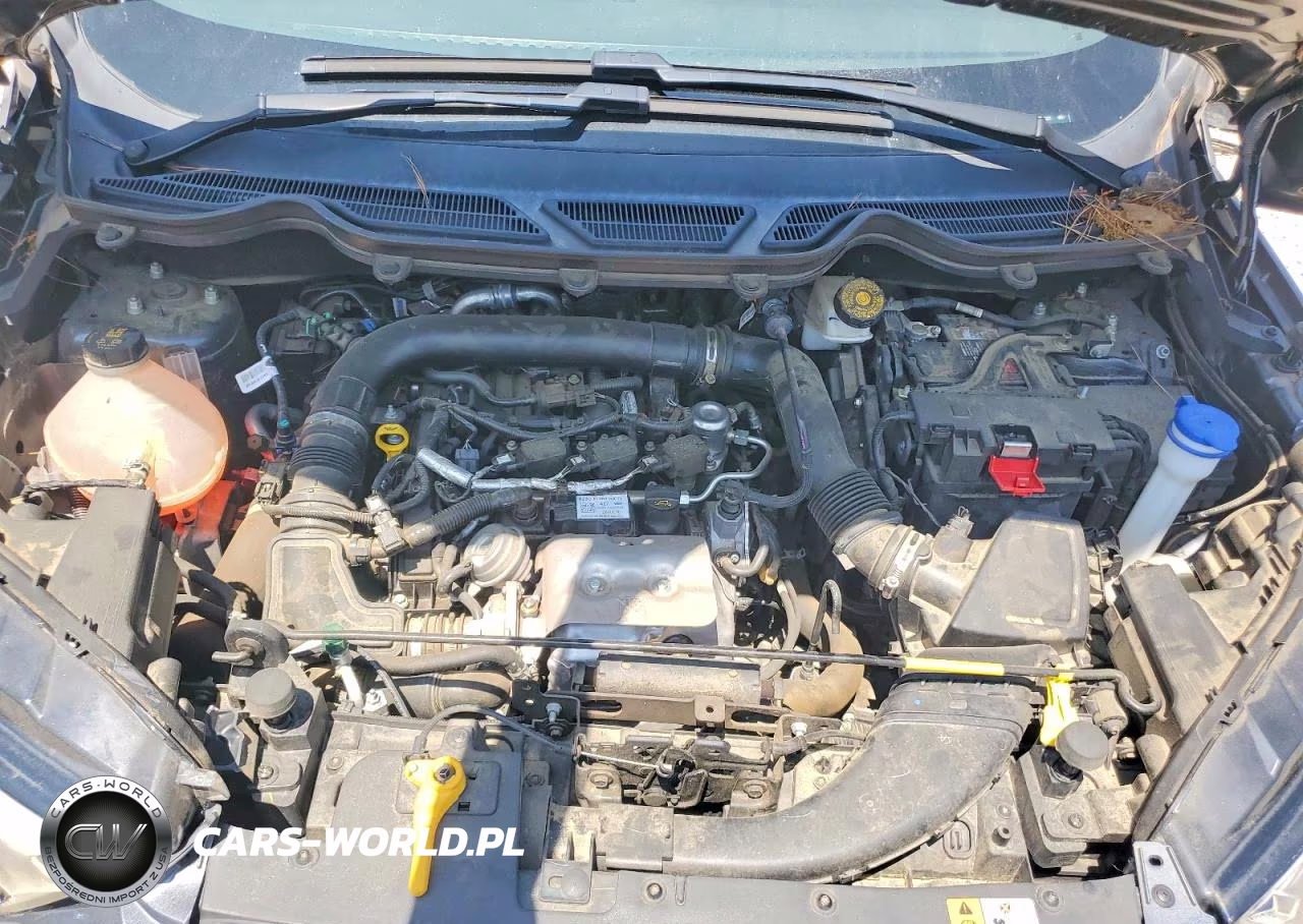 2019 Ford Ecosport S VIN:MAJ3S2FEXKC255221 - 12