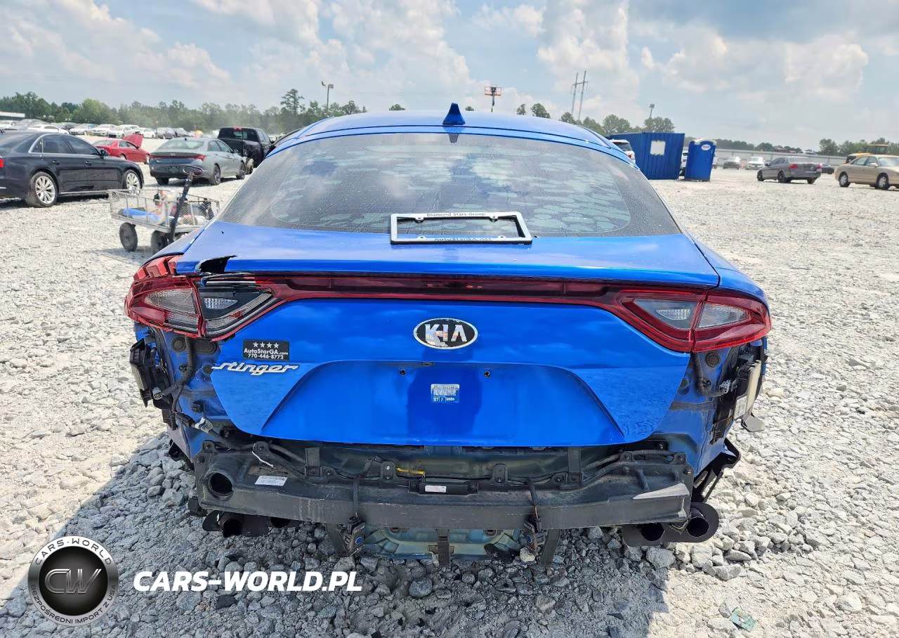 2019 Kia Stinger Base VIN:KNAE15LA2K6063991 - 6