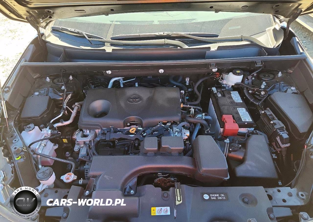 2024 Toyota Rav4 Xle VIN:2T3W1RFV9RC296497 - 12