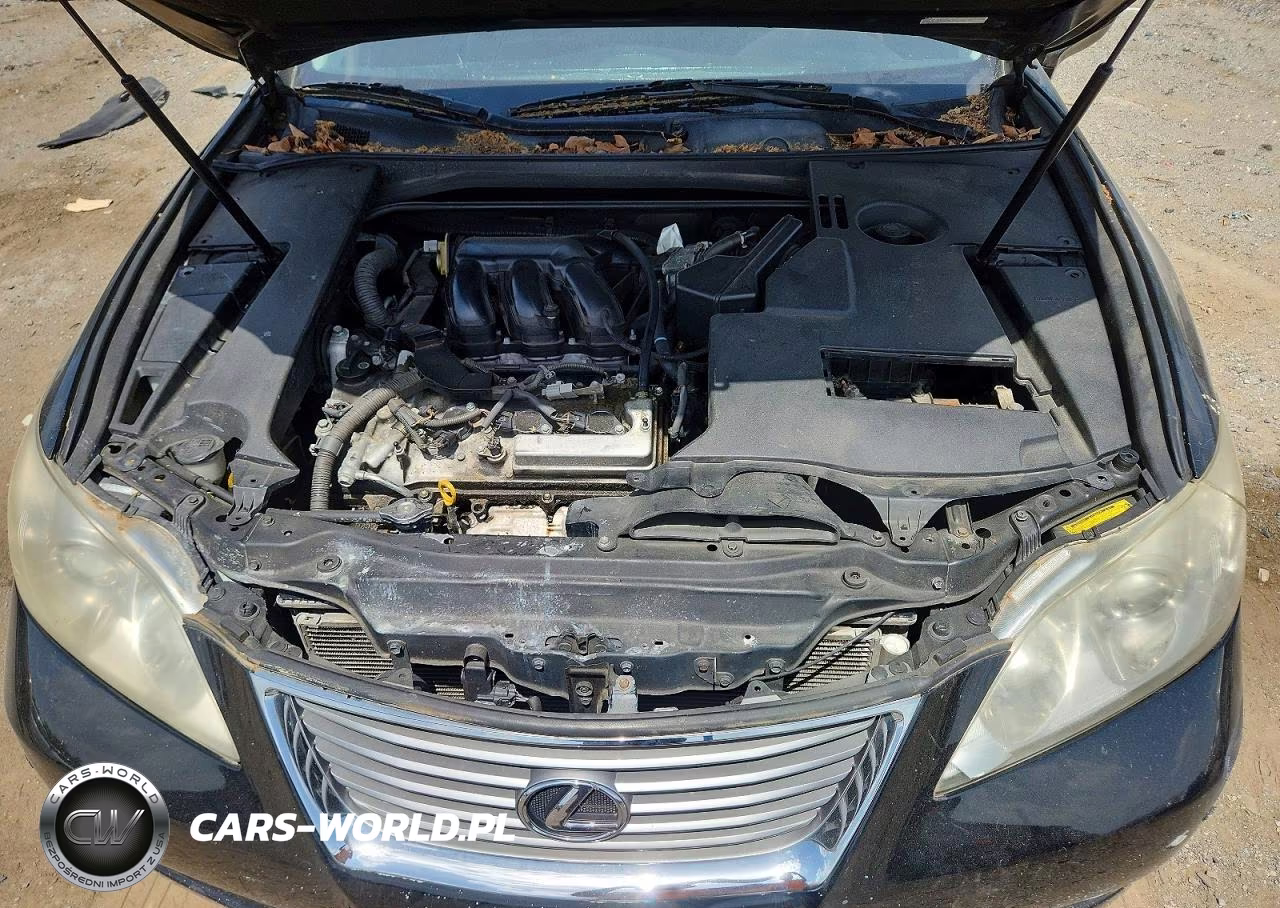 2009 Lexus Es 350 VIN:JTHBJ46G492296853 - 11