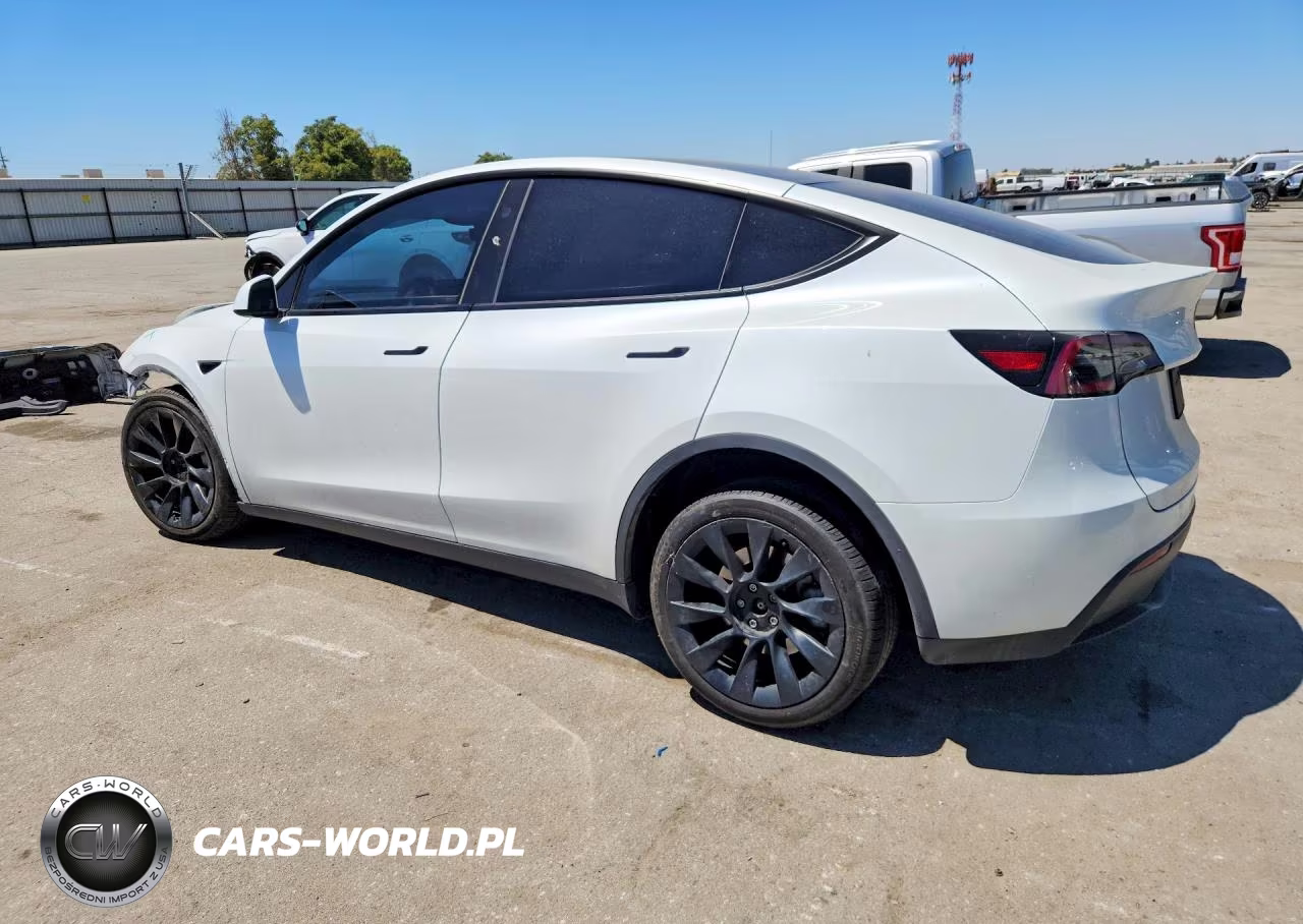 2024 Tesla Model Y VIN:7SAYGAEE5RF041279 - 2