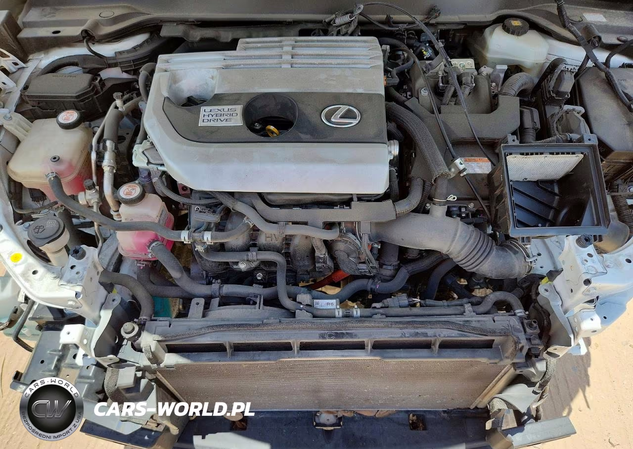 2019 Lexus Ux 250H VIN:JTHU9JBH2K2013919 - 11