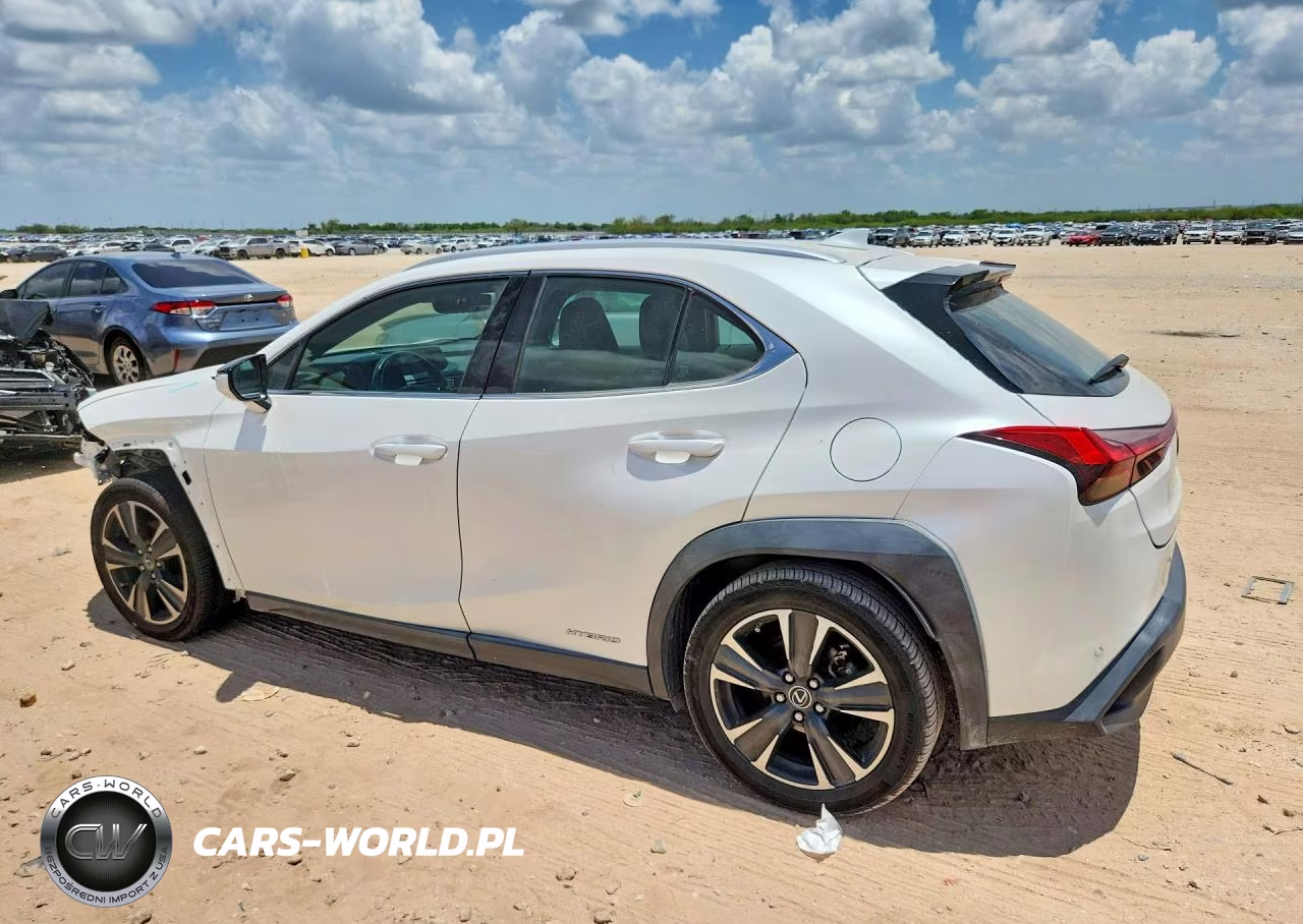 2019 Lexus Ux 250H VIN:JTHU9JBH2K2013919 - 2