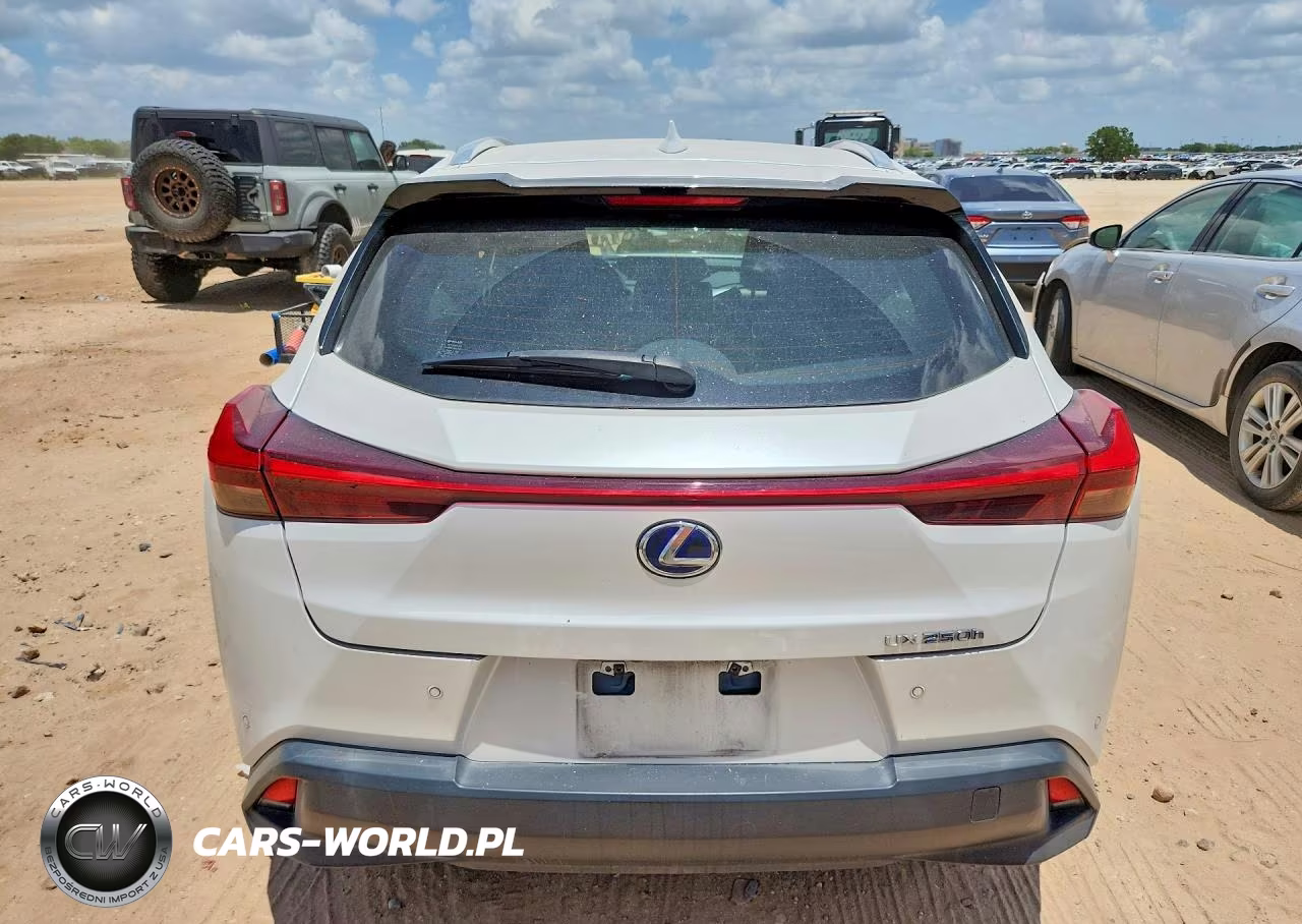 2019 Lexus Ux 250H VIN:JTHU9JBH2K2013919 - 6