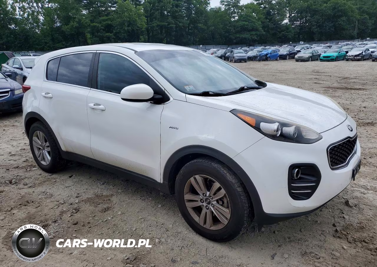 2017 Kia Sportage Lx VIN:KNDPMCAC7H7086276 - 4