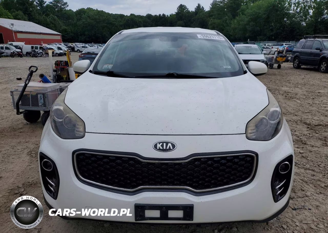 2017 Kia Sportage Lx VIN:KNDPMCAC7H7086276 - 5