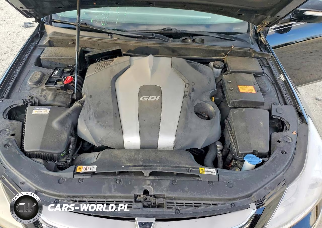 2013 Hyundai Genesis 3.8L VIN:KMHGC4DD5DU246515 - 11