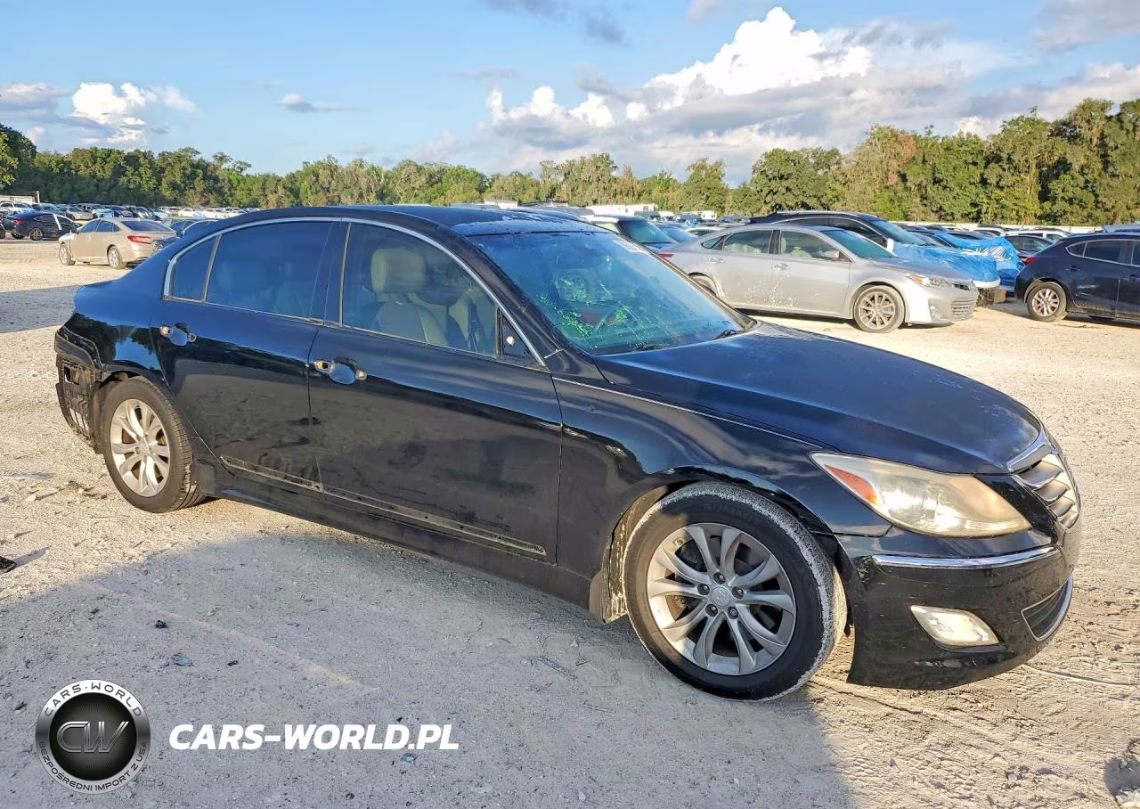 2013 Hyundai Genesis 3.8L VIN:KMHGC4DD5DU246515 - 4