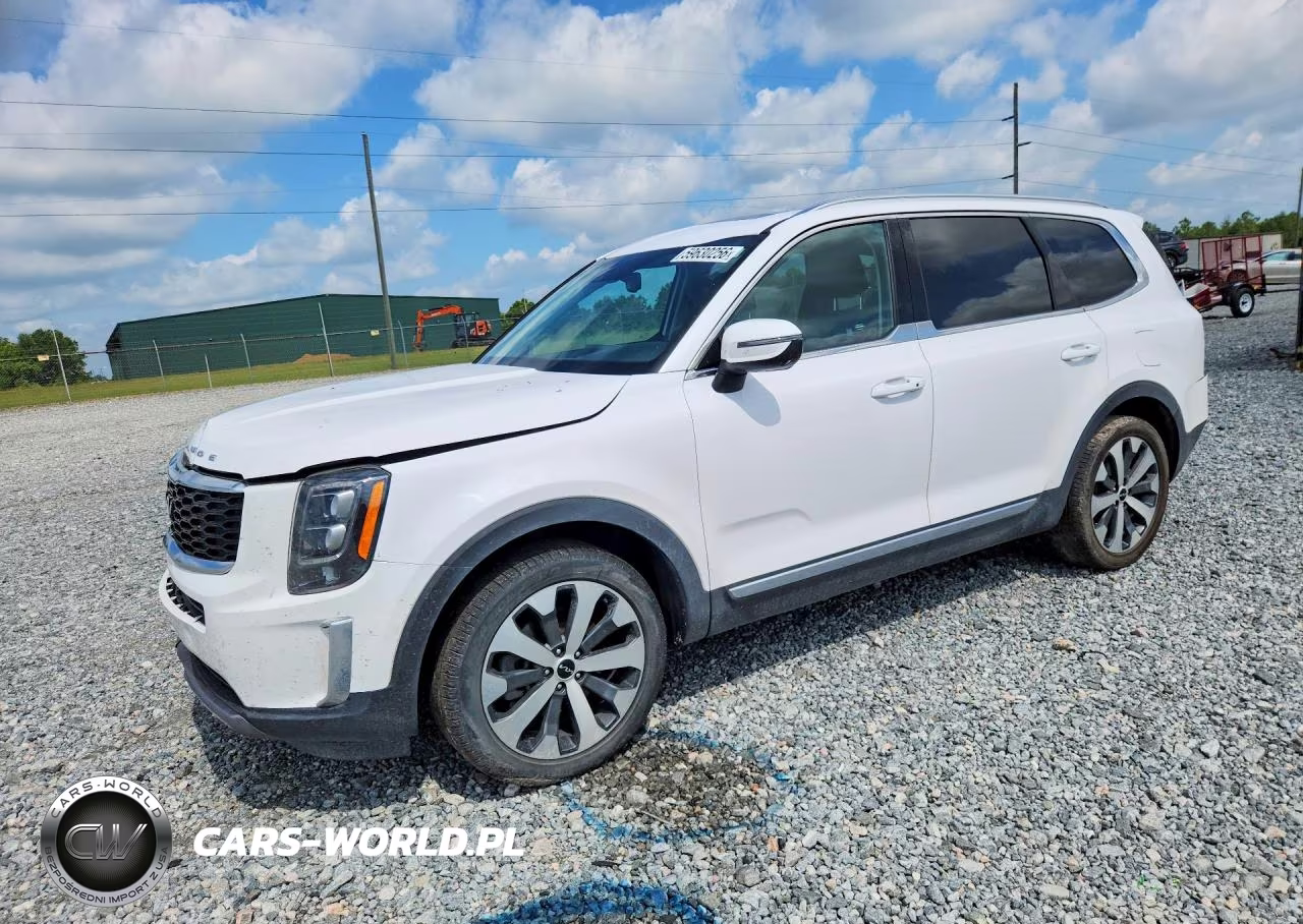 2022 Kia Telluride Ex VIN:5XYP34HC4NG310536 - 1