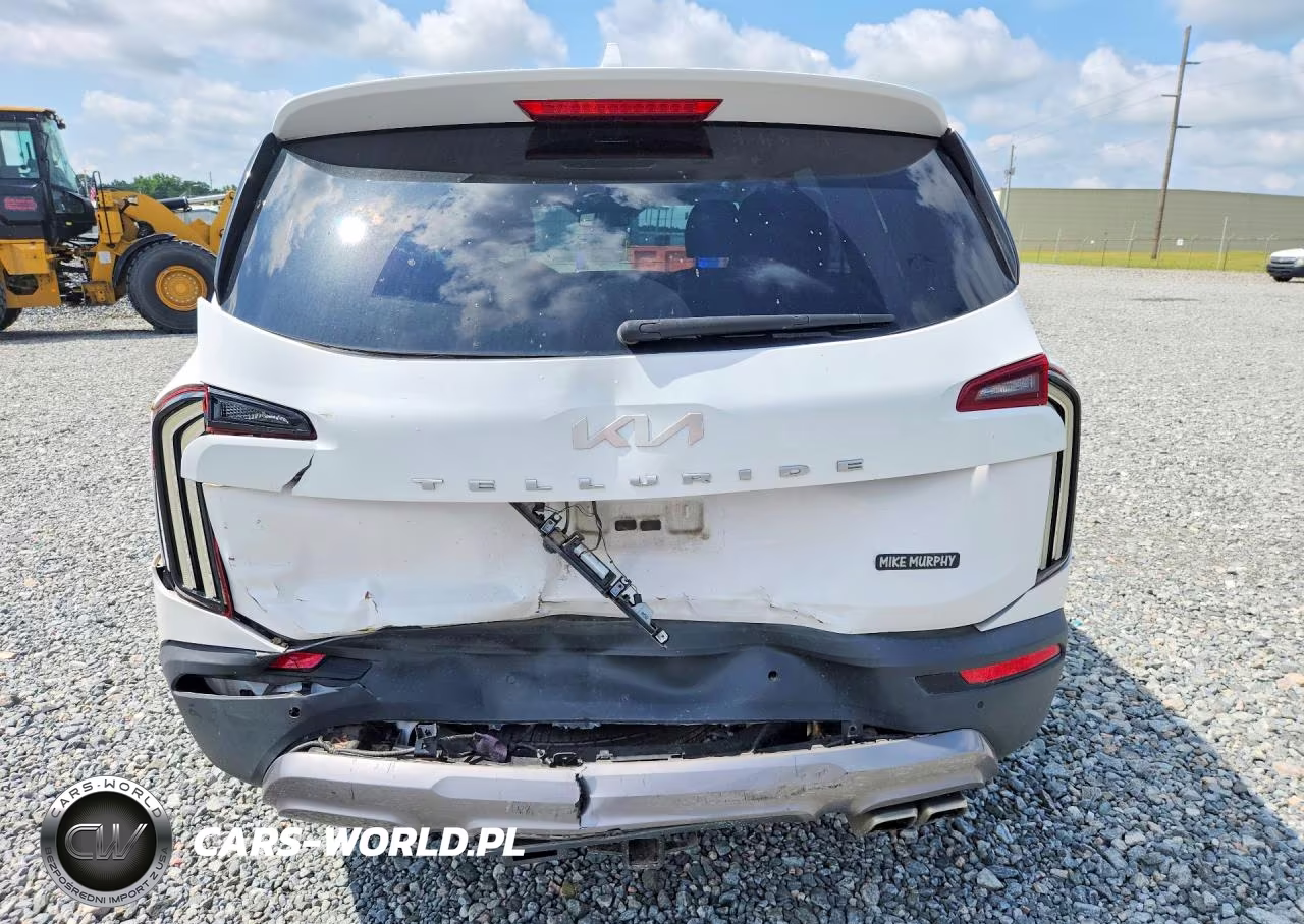 2022 Kia Telluride Ex VIN:5XYP34HC4NG310536 - 6