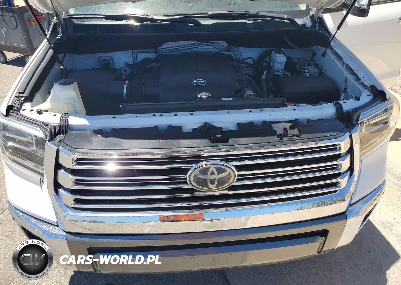 2019 Toyota Tundra 1794 Edition VIN:5TFAY5F11KX816168 - 11
