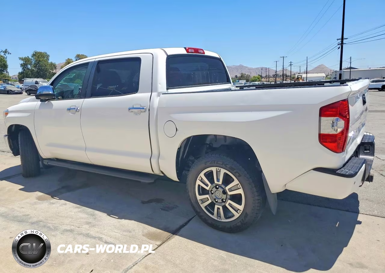 2019 Toyota Tundra 1794 Edition VIN:5TFAY5F11KX816168 - 2