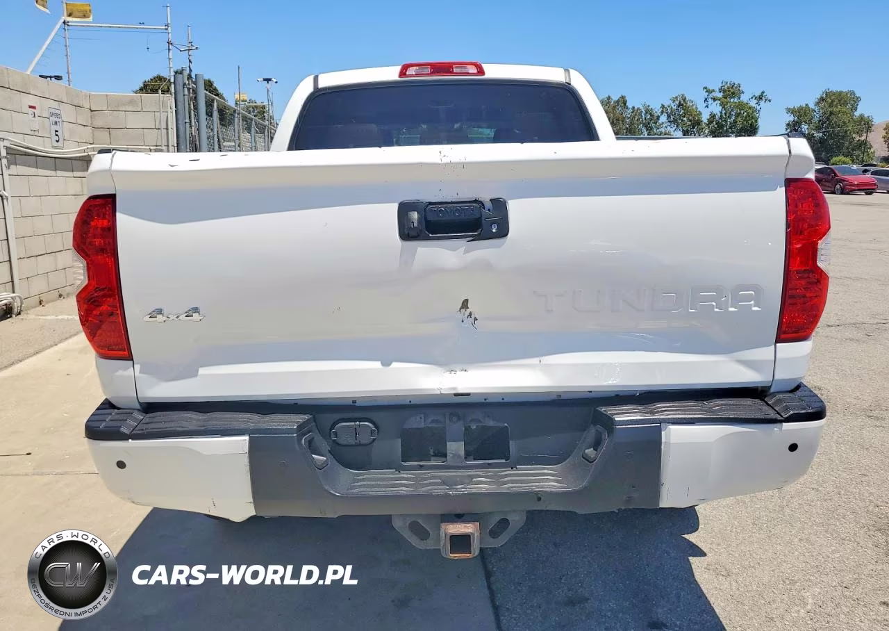 2019 Toyota Tundra 1794 Edition VIN:5TFAY5F11KX816168 - 6