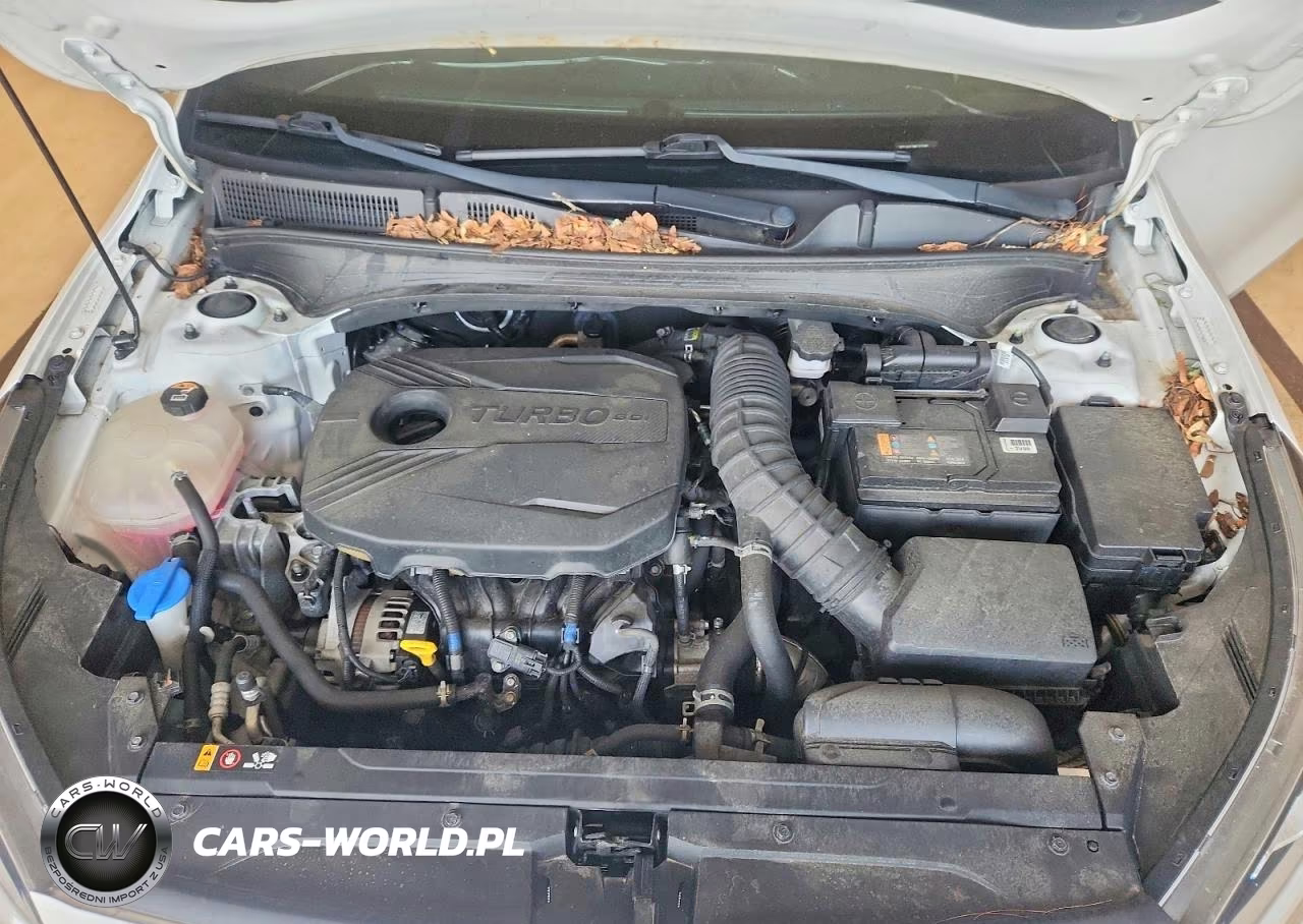 2021 Kia Forte Gt VIN:3KPF44AC8ME387988 - 11