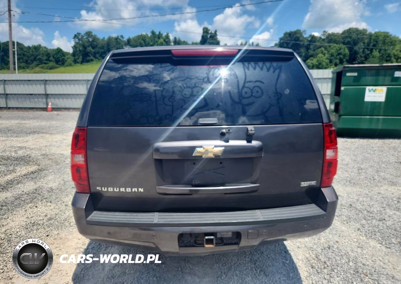 2010 Chevrolet Suburban C1500 Lt VIN:1GNUCJE04AR266438 - 6