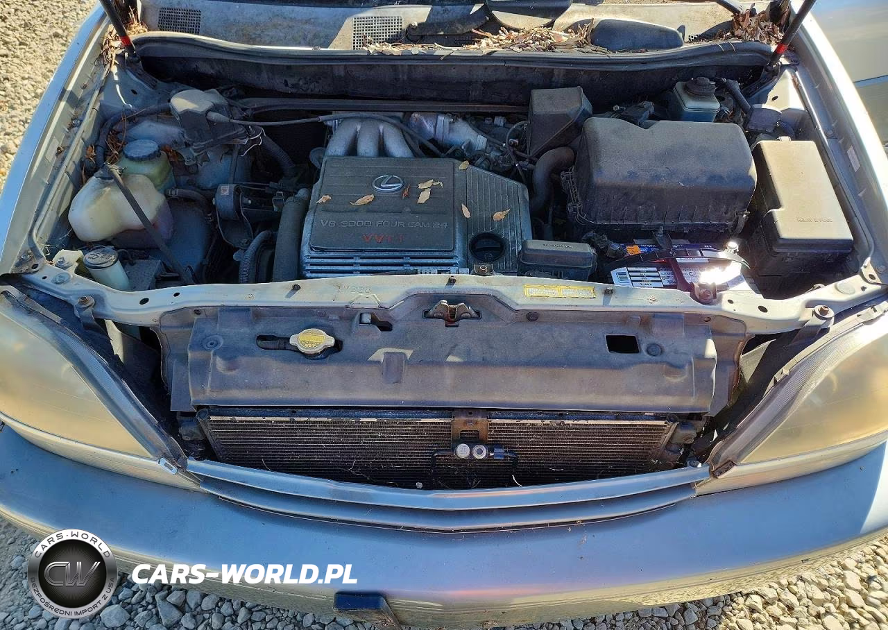 2000 Lexus Rx 300 VIN:JT6HF10U8Y0156896 - 12