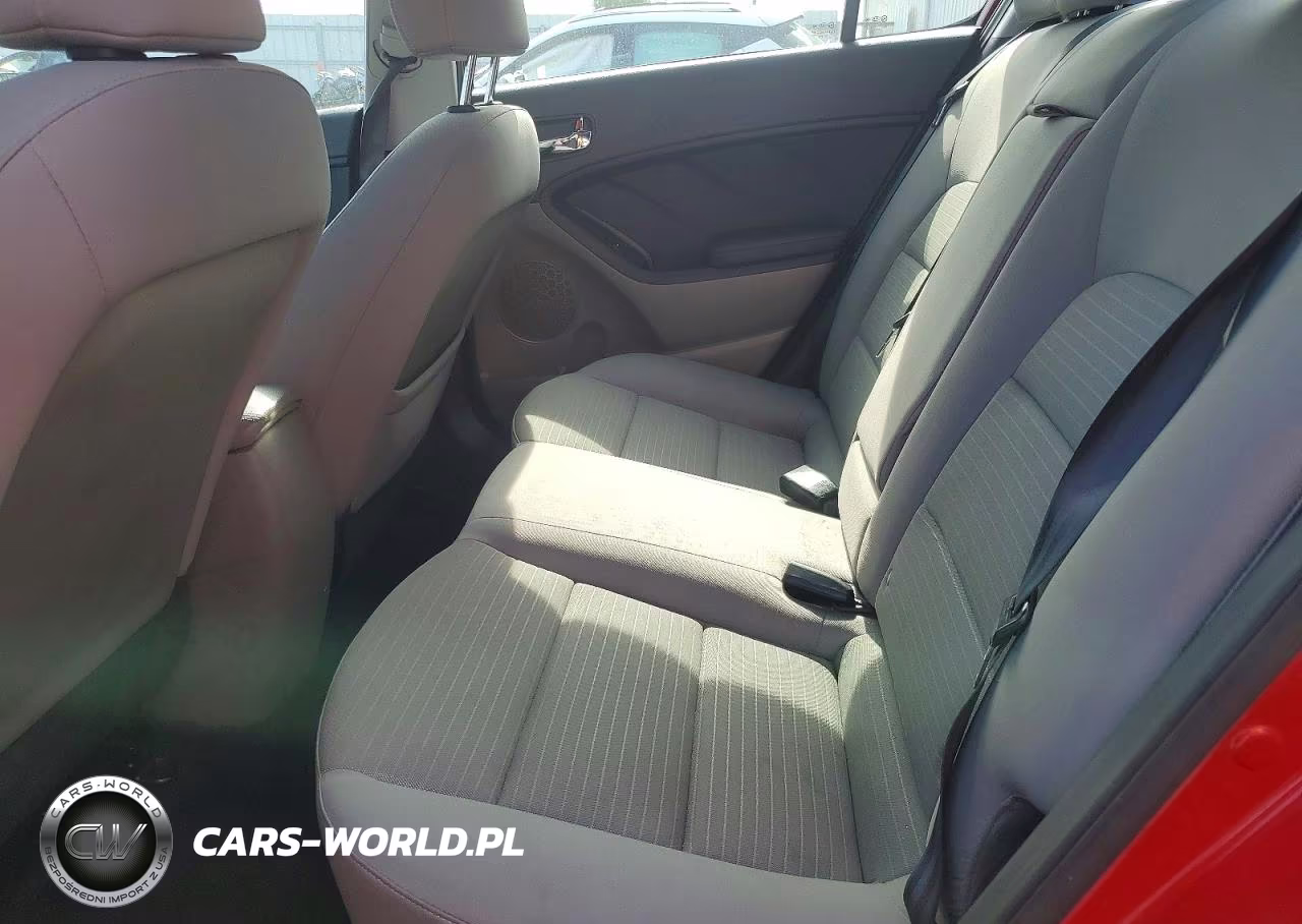 2016 Kia Forte Lx VIN:KNAFX4A69G5550906 - 10