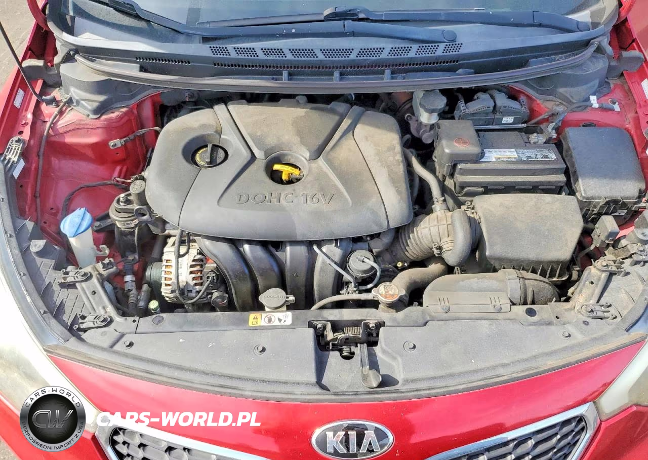 2016 Kia Forte Lx VIN:KNAFX4A69G5550906 - 11