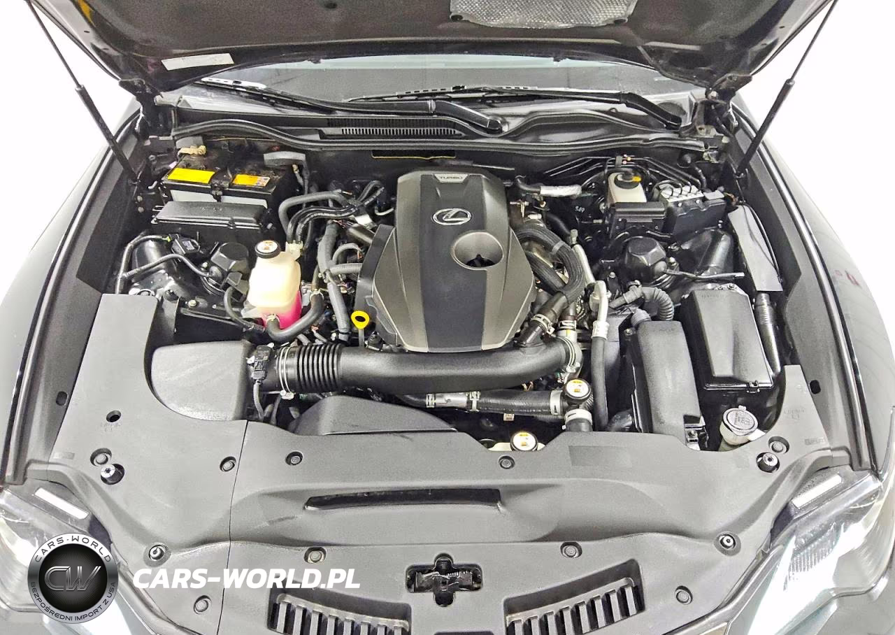 2019 Lexus Rc 300 VIN:JTHHA5BC5K5009852 - 11