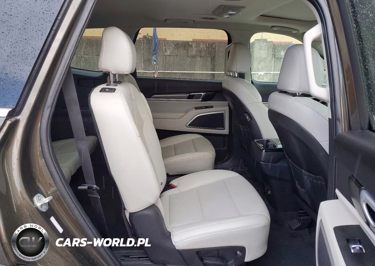 2020 Kia Telluride S VIN:5XYP64HCXLG074639 - 11