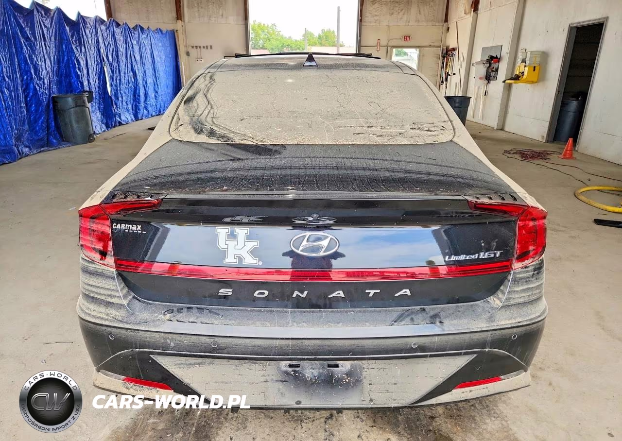 2020 Hyundai Sonata Limited VIN:5NPEH4J25LH029104 - 6