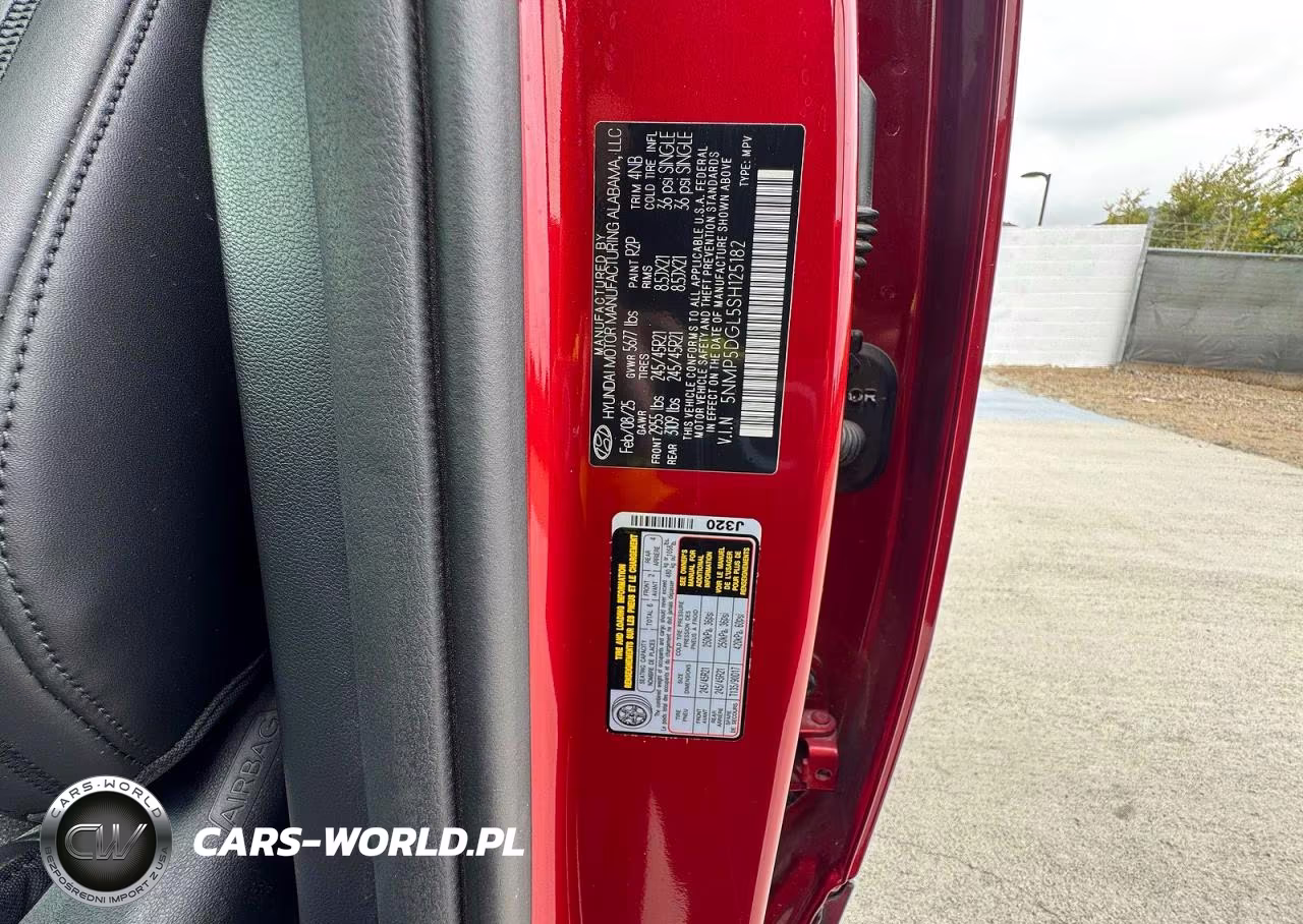 2025 Hyundai Santa Fe Calligraphy VIN:5NMP5DGL5SH125182 - 10