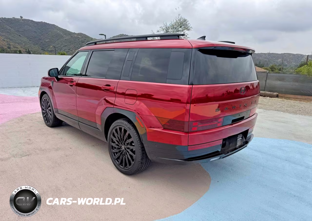 2025 Hyundai Santa Fe Calligraphy VIN:5NMP5DGL5SH125182 - 3