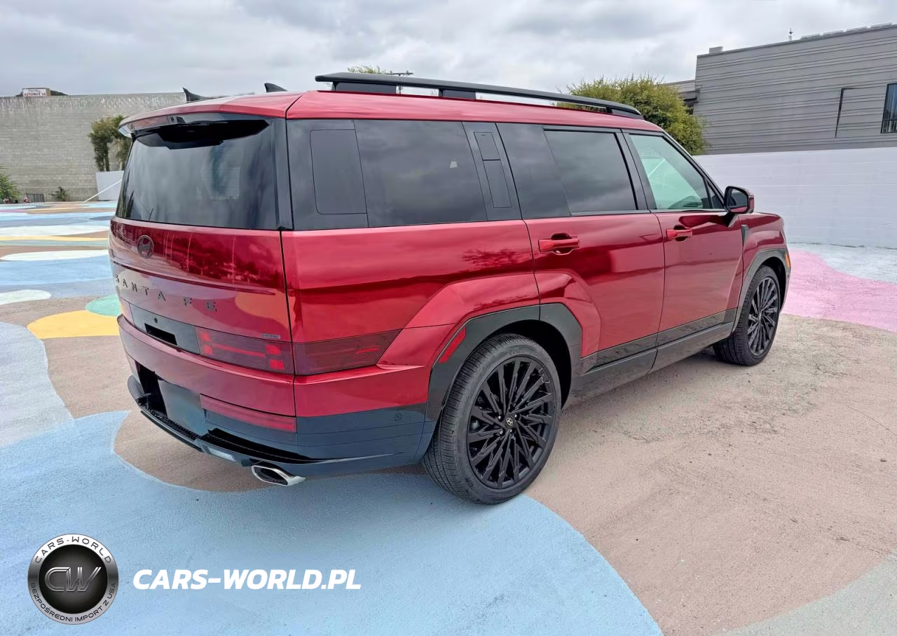 2025 Hyundai Santa Fe Calligraphy VIN:5NMP5DGL5SH125182 - 4