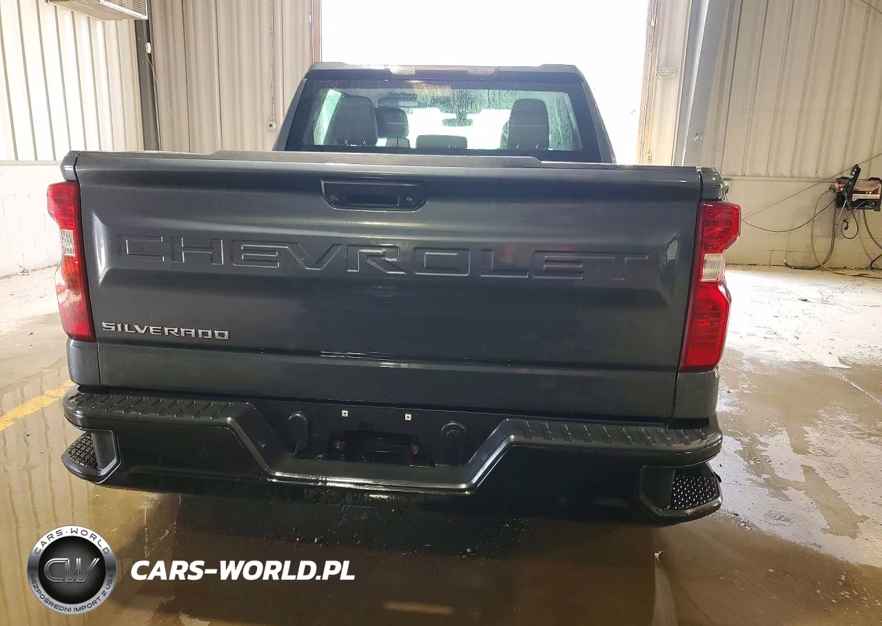 2019 Chevrolet Silverado K1500 VIN:3GCPYAEH1KG134154 - 6