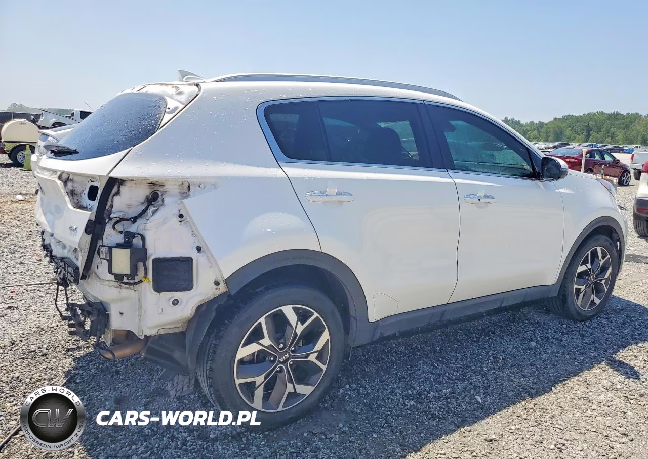 2020 Kia Sportage Ex VIN:KNDPN3AC7L7798227 - 3