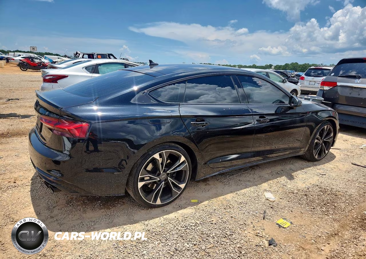 2024 Audi S5 Premium Plus VIN:WAUC4CF56RA037158 - 3