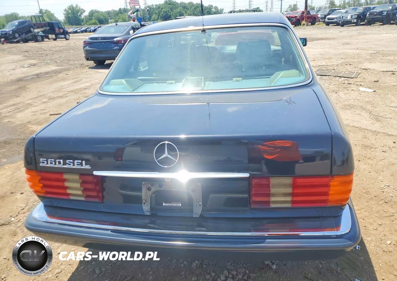 1990 Mercedes-Benz 560 Sel VIN:WDBCA39E8LA549971 - 6