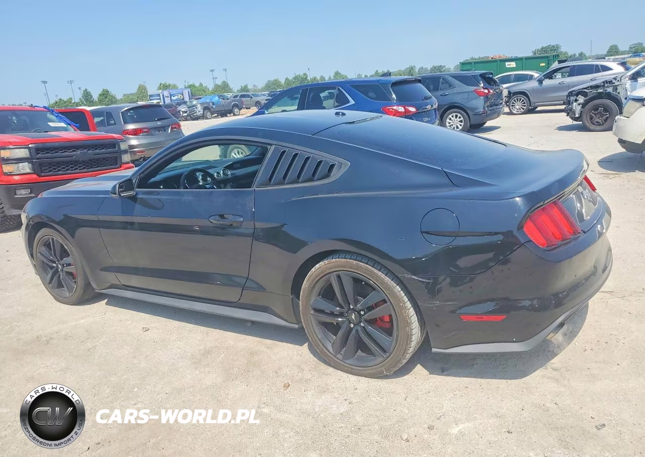 2017 Ford Mustang VIN:1FA6P8TH9H5312022 - 2