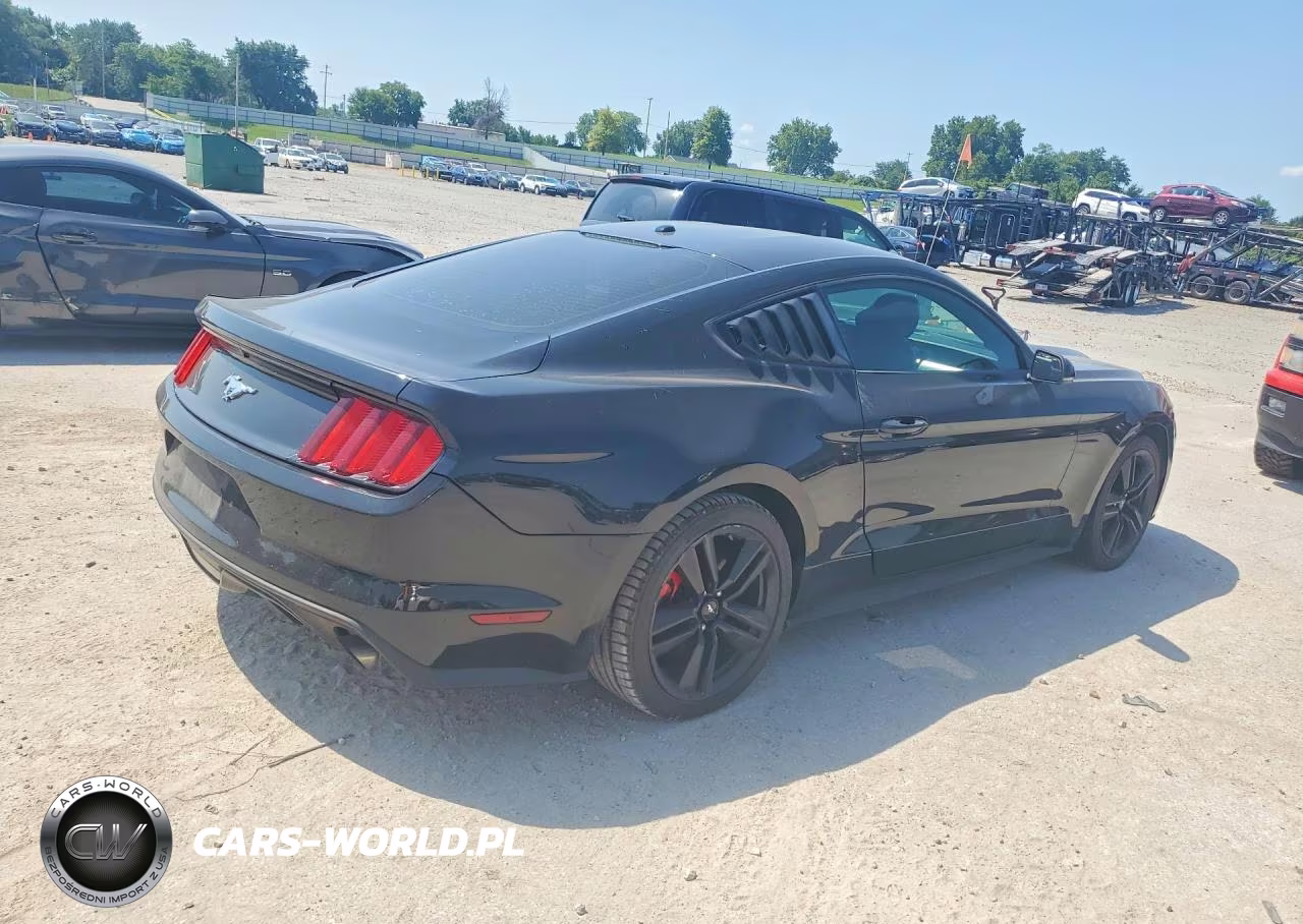 2017 Ford Mustang VIN:1FA6P8TH9H5312022 - 3