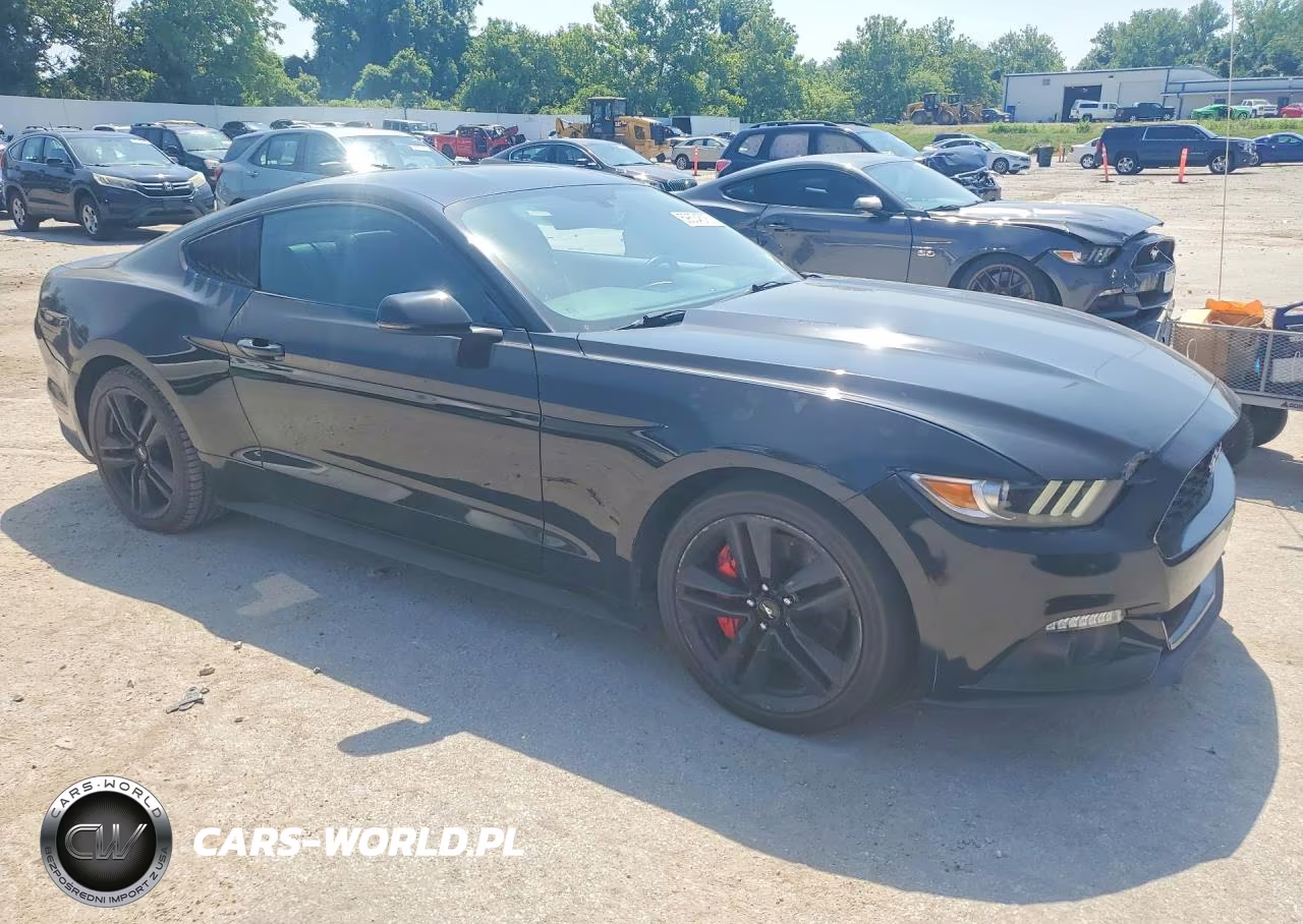 2017 Ford Mustang VIN:1FA6P8TH9H5312022 - 4
