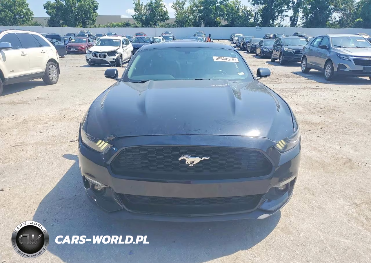 2017 Ford Mustang VIN:1FA6P8TH9H5312022 - 5