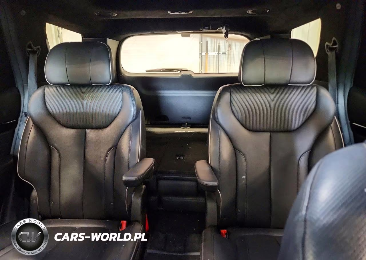 2023 Hyundai Palisade Calligraphy VIN:KM8R7DGE5PU541488 - 10