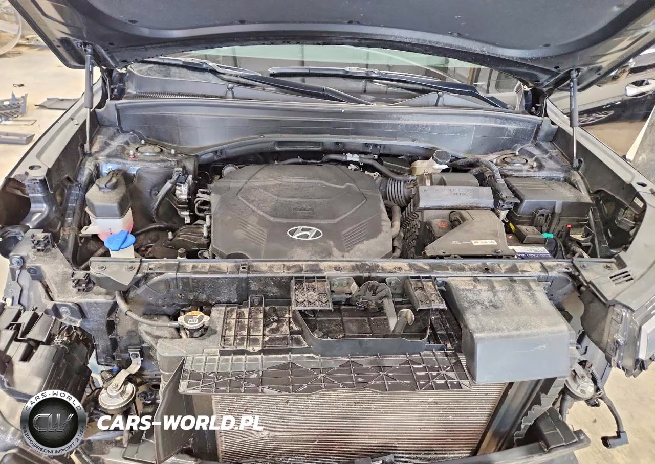 2023 Hyundai Palisade Calligraphy VIN:KM8R7DGE5PU541488 - 12