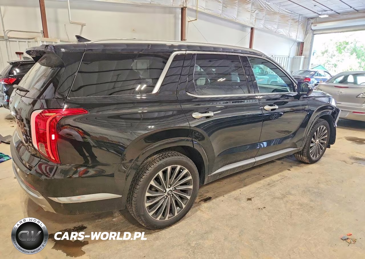 2023 Hyundai Palisade Calligraphy VIN:KM8R7DGE5PU541488 - 3