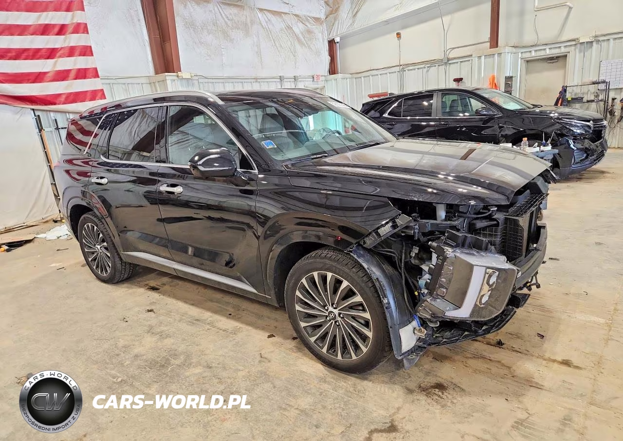 2023 Hyundai Palisade Calligraphy VIN:KM8R7DGE5PU541488 - 4