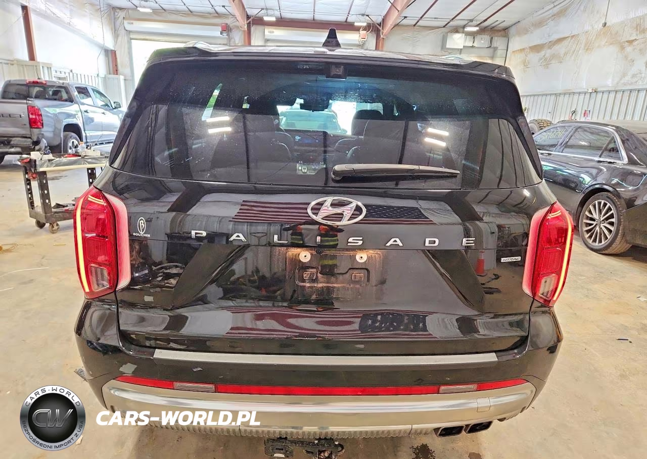 2023 Hyundai Palisade Calligraphy VIN:KM8R7DGE5PU541488 - 6