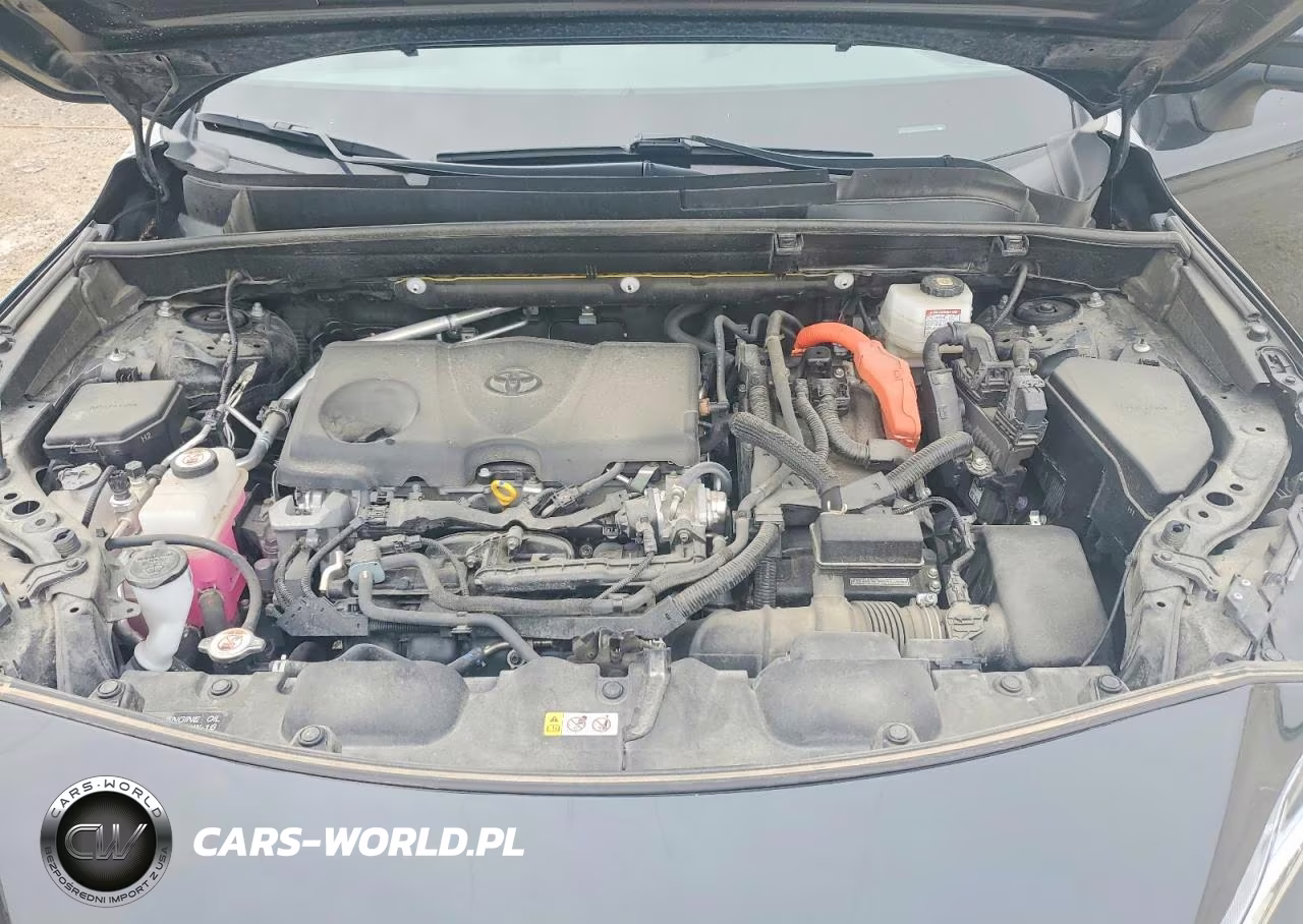 2023 Toyota Venza Xle VIN:JTEAAAAH0PJ125043 - 12