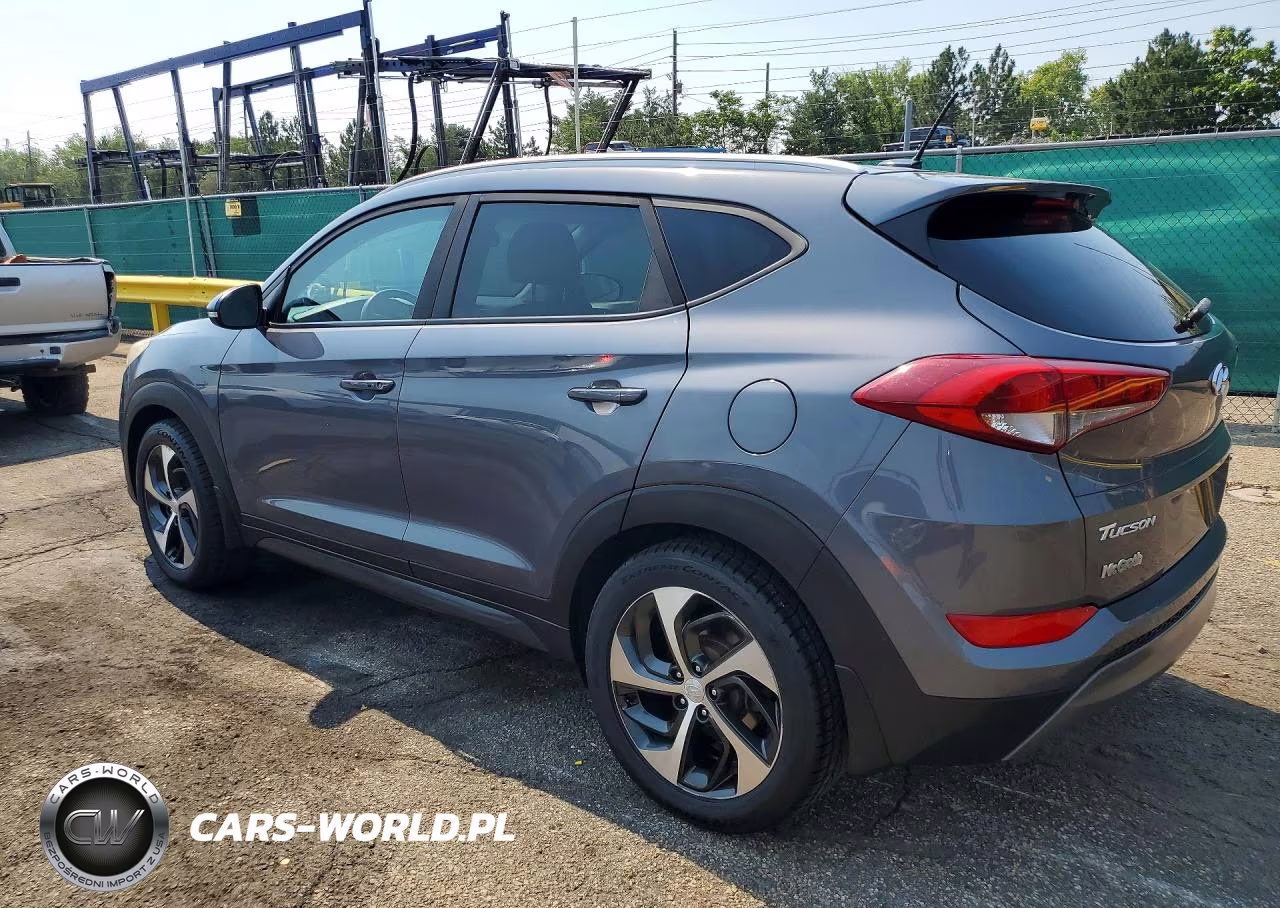 2016 Hyundai Tucson Sport VIN:KM8J3CA20GU150895 - 2