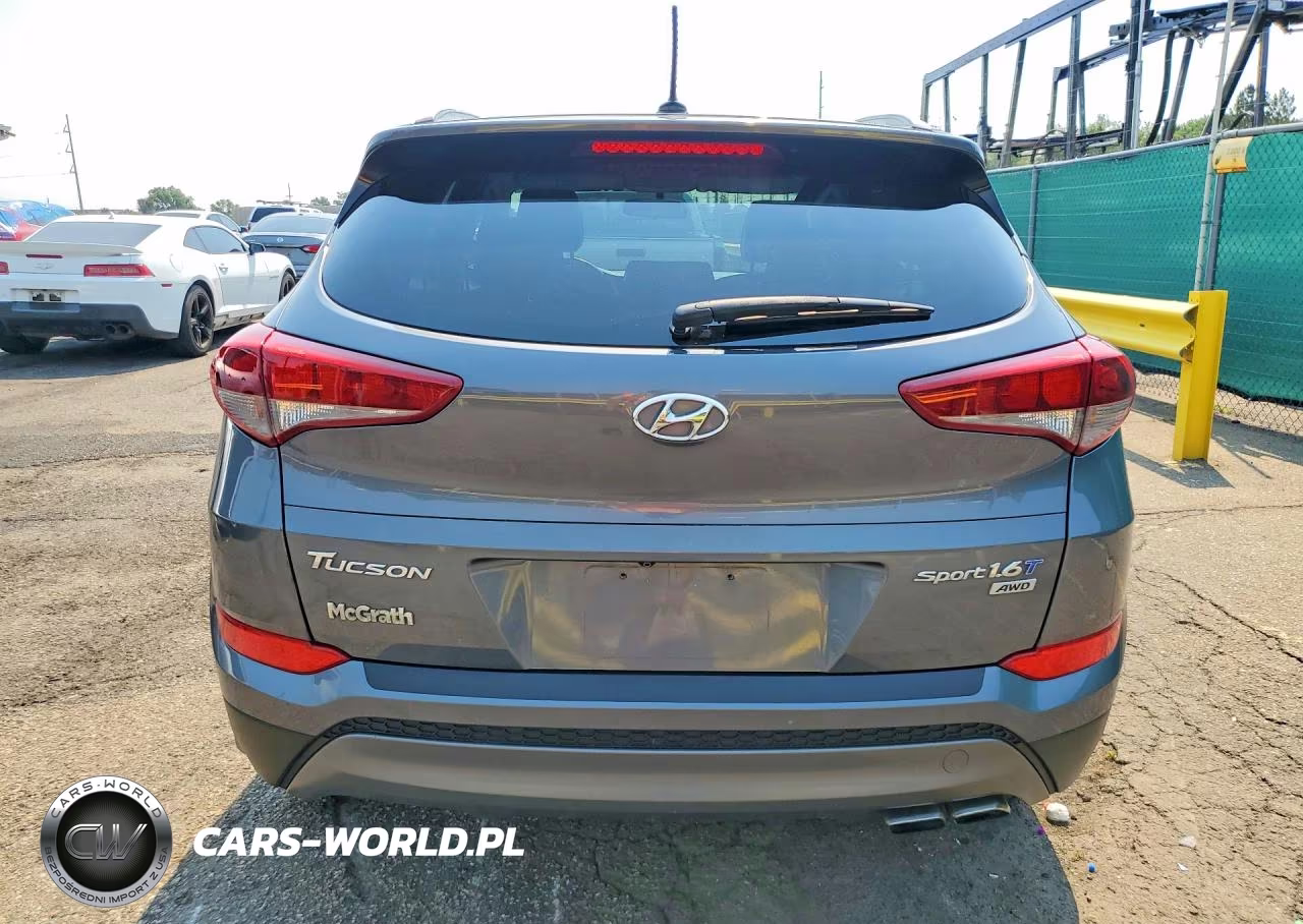 2016 Hyundai Tucson Sport VIN:KM8J3CA20GU150895 - 6