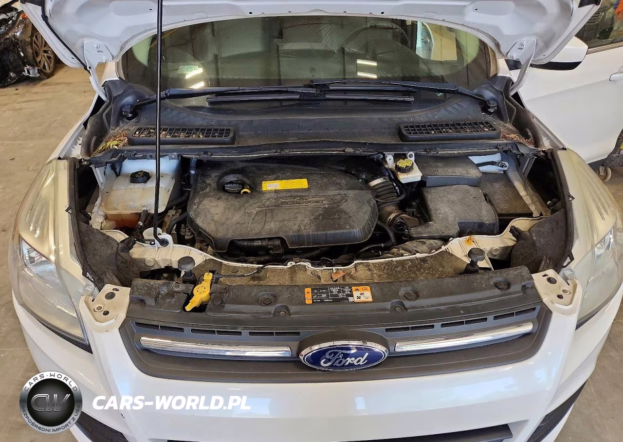2016 Ford Escape Se VIN:1FMCU0GX9GUC09773 - 12