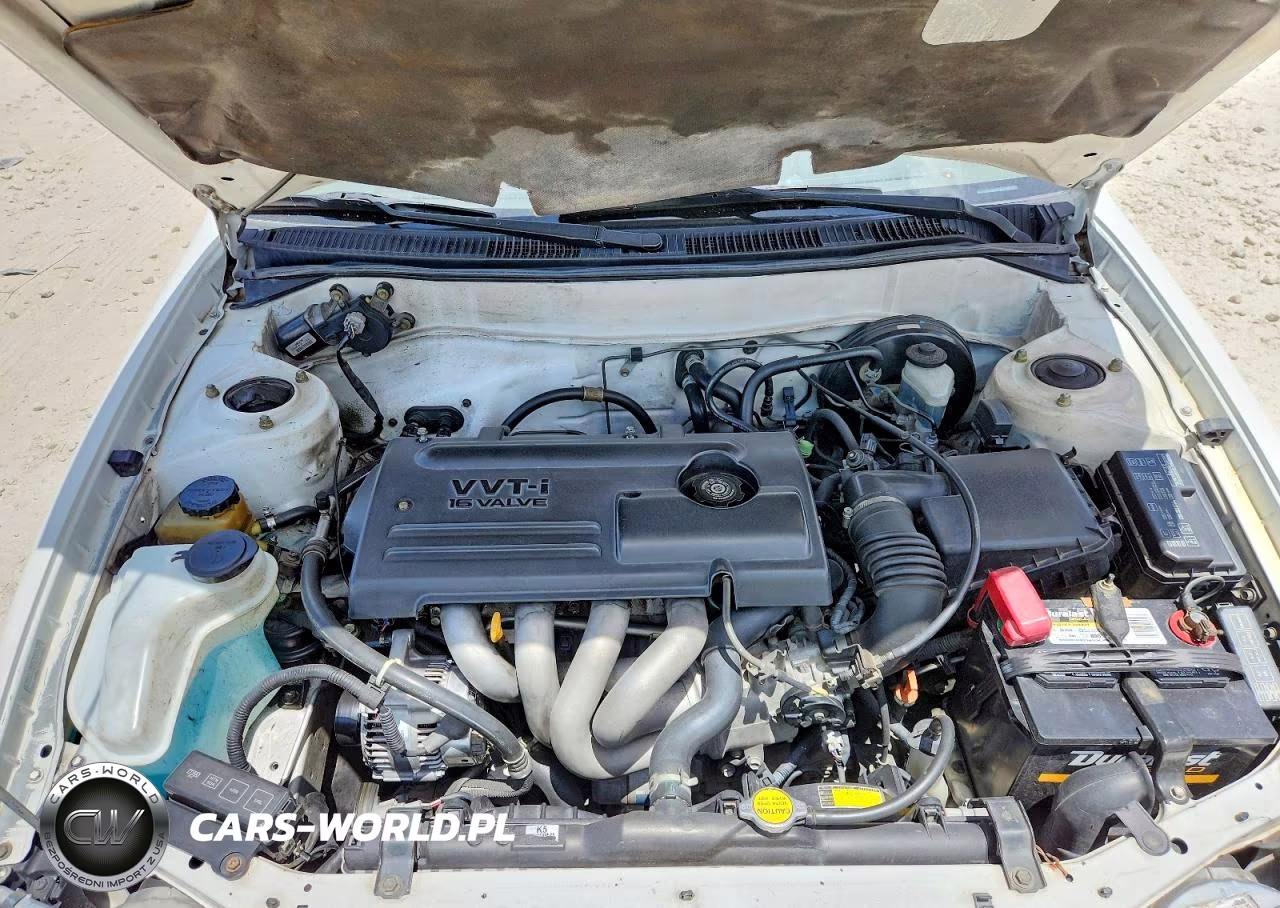 2000 Toyota Coroalla VIN:1NXBR12E0YZ356574 - 11